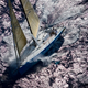 Illustration for article titled Pegasus Open 50, The Official Transpac Raceboat of Gizmodo